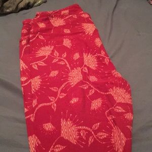 TC Floral Lularoe leggings